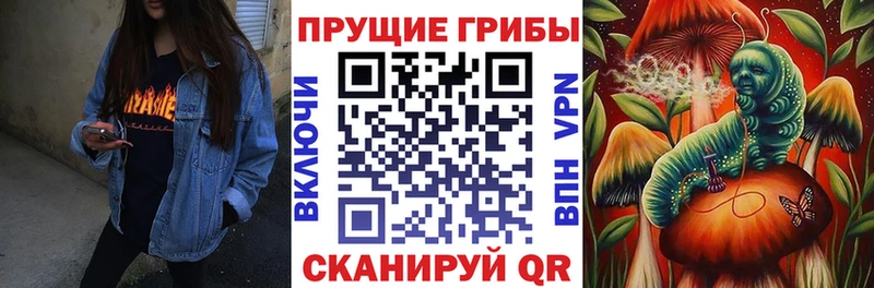 Галлюциногенные грибы мухоморы  цены   Фролово 
